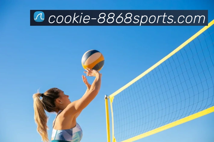 英超联赛中总共有多少支球队参与